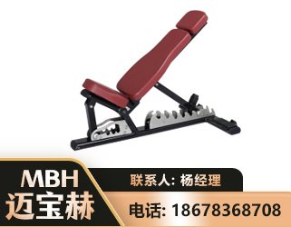 株洲可调哑铃椅